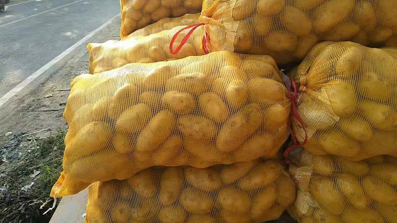 土豆编织袋土豆网袋抗拉性好放大性强各种土豆包装
