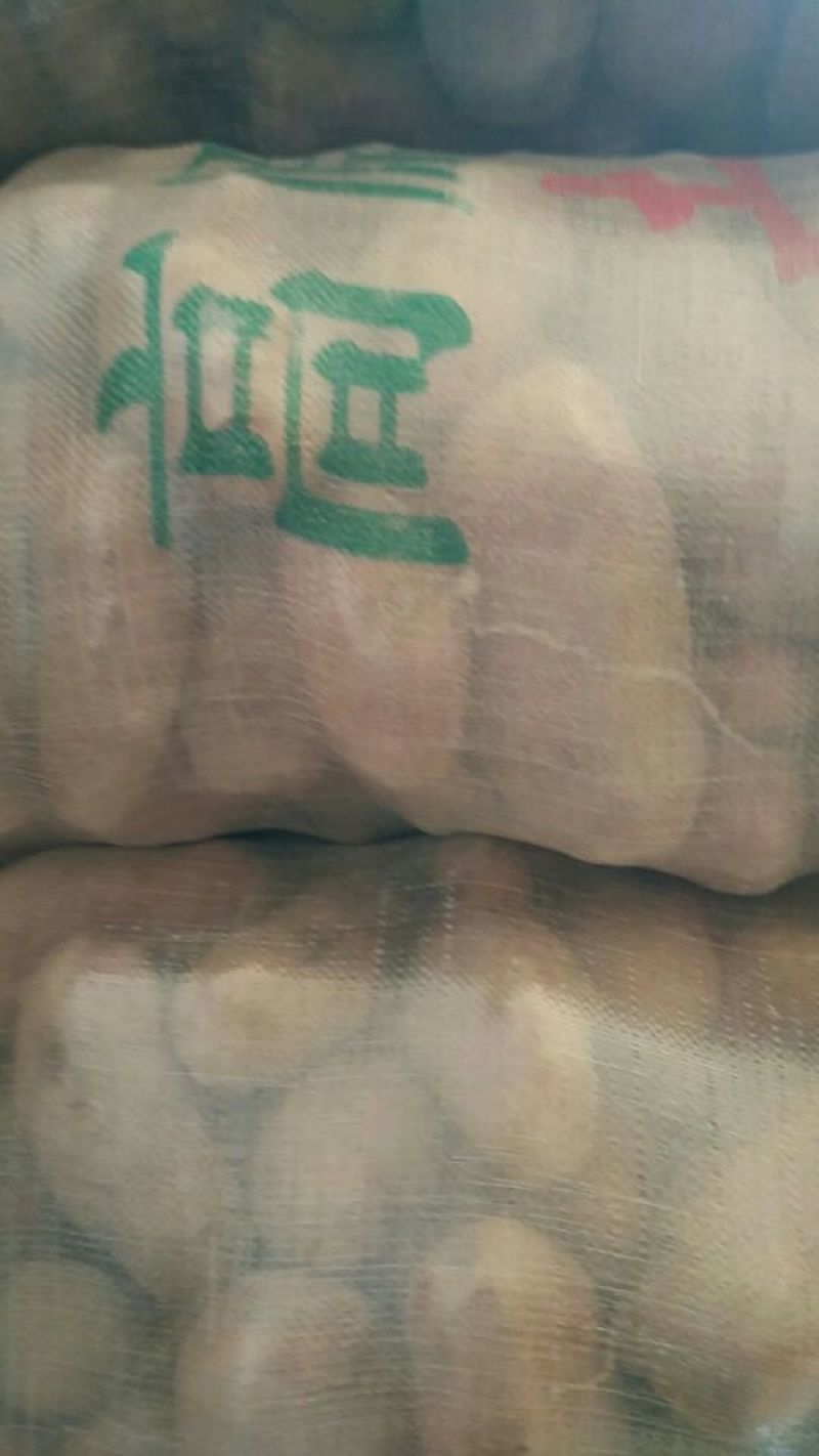 青薯168