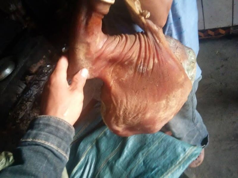 山村自制腊肉腊火腿