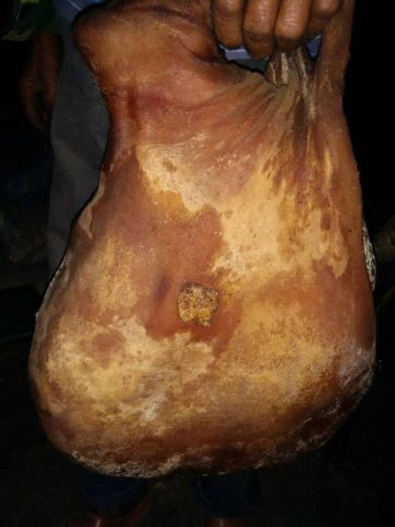 山村自制腊肉腊火腿