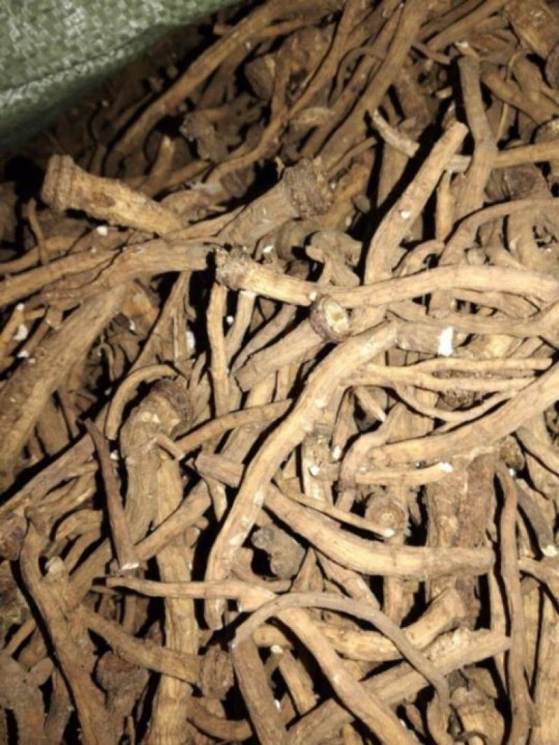 【蒲公英根】质量有保证一手货源产地直销