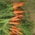 张家口蔬菜种植基地现货大量供应胡萝卜