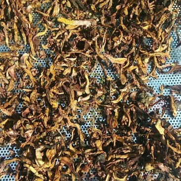 大量供应纯野生松蘑，肉蘑，质量好，色泽纯正，口感鲜嫩