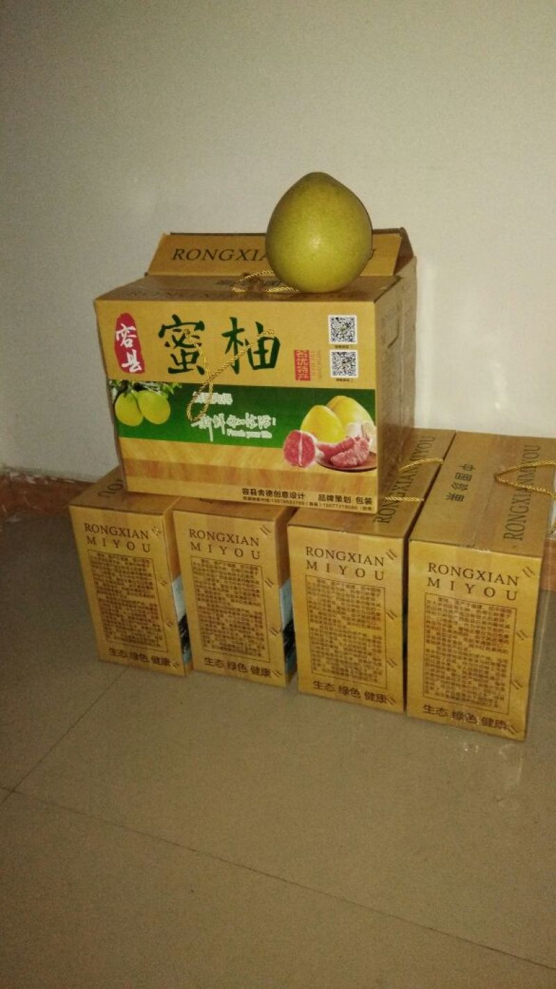正宗广西容县白肉蜜柚自产自销可一件代发