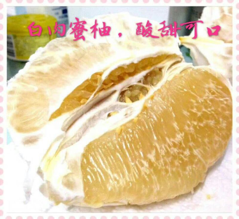 正宗广西容县白肉蜜柚自产自销可一件代发