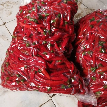 辣椒以大量上市，欢迎来厂考察