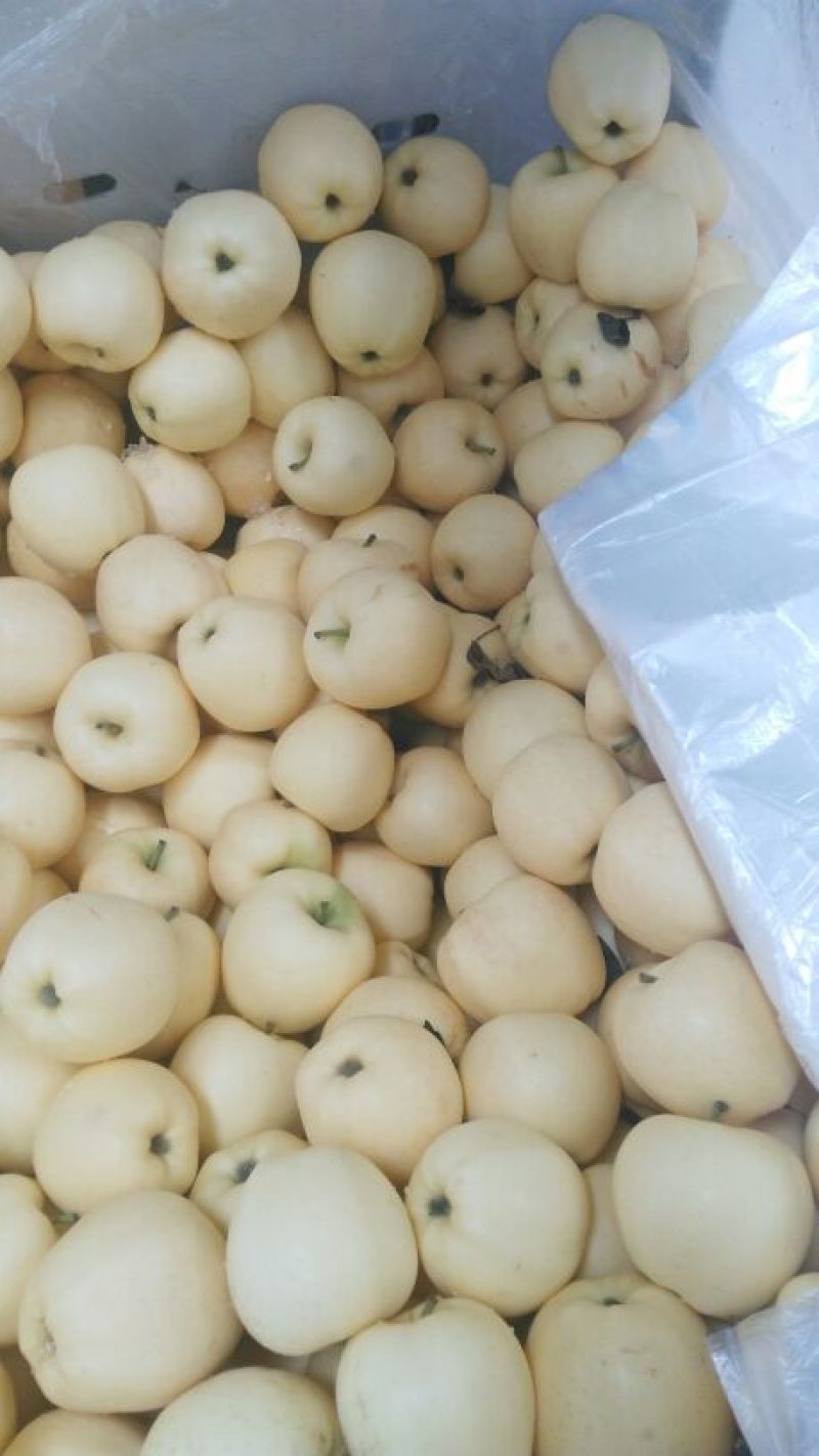 金帅苹果，下检价位合适