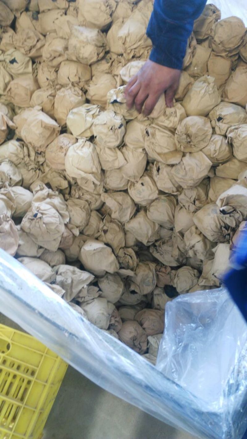 金帅苹果，下检价位合适