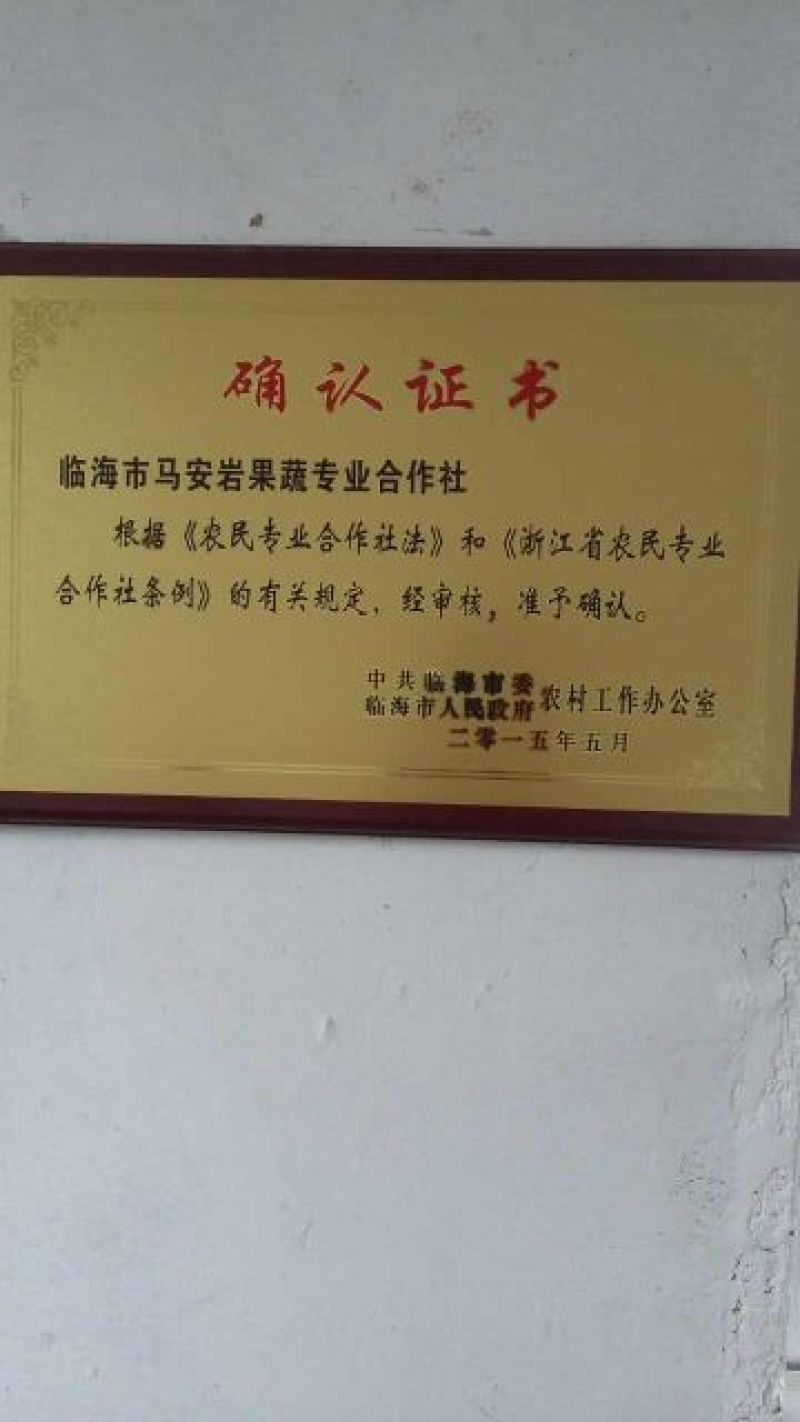 临海高山蜜桔临海蜜桔