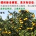 临海高山蜜桔临海蜜桔