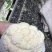 菜花2~3斤紧花乳白