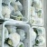 菜花2~3斤紧花乳白