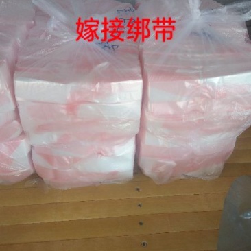 嫁接绑带嫁接条嫁接膜嫁接工人专业嫁接苗木