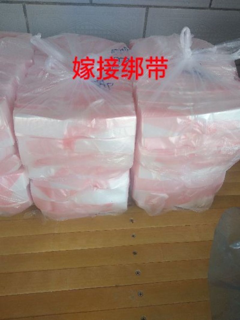 嫁接绑带嫁接条嫁接膜嫁接工人专业嫁接苗木