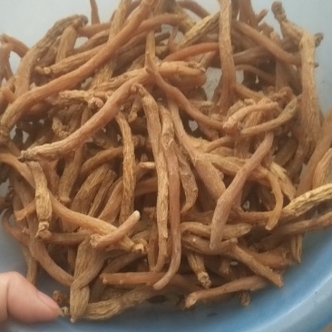 抚松人参无糖小货干度好