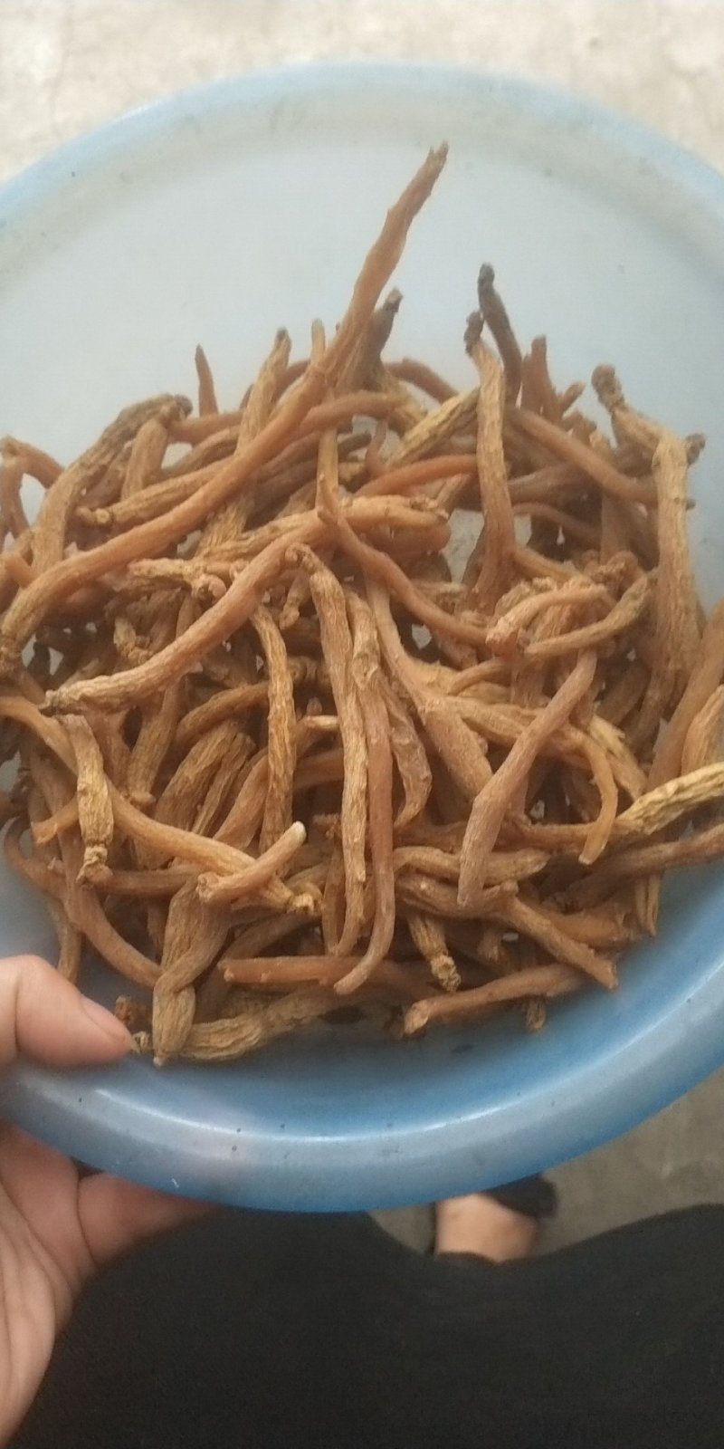 抚松人参无糖小货干度好