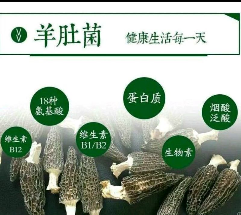 羊肚菌有400550650750规格