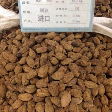 进口砂仁。壳砂仁，阳春砂仁，砂仁米砂仁