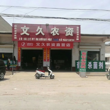 巨峰葡萄，河北威县七级镇文久农资2.5-3
