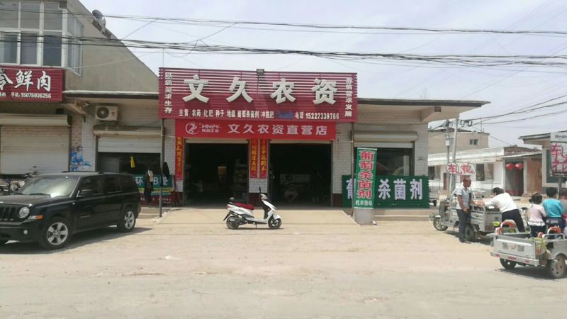 巨峰葡萄，河北威县七级镇文久农资2.5-3