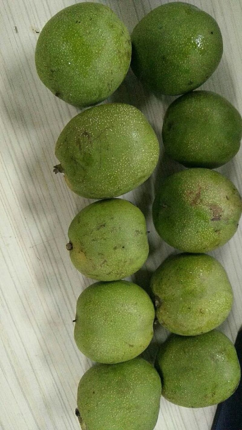 新亿核桃