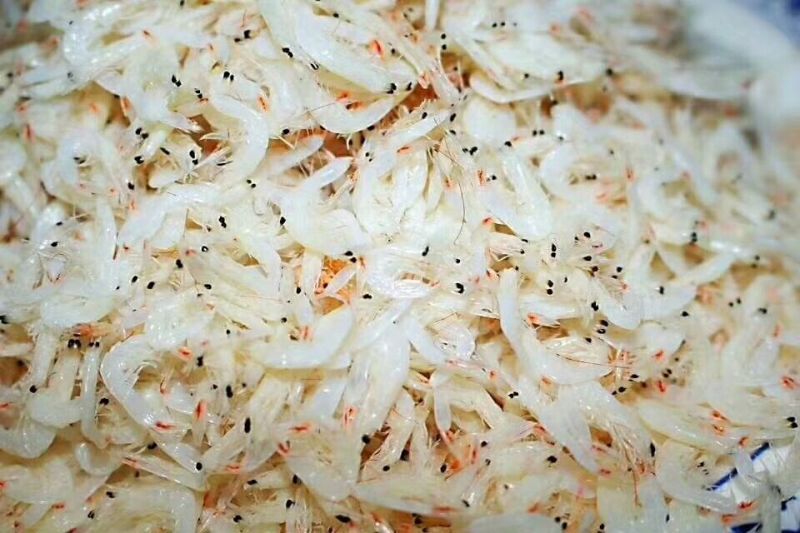 虾皮粉