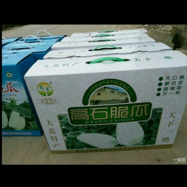 高石脆瓜