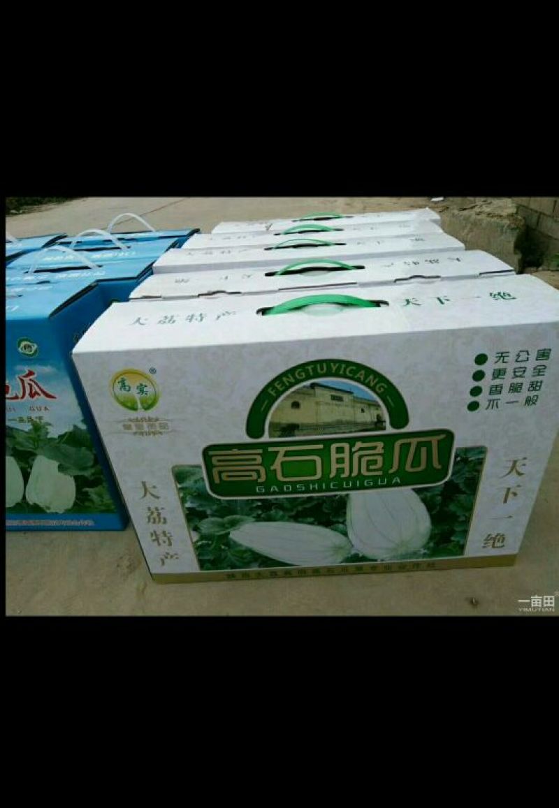 高石脆瓜