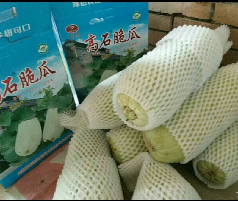 高石脆瓜