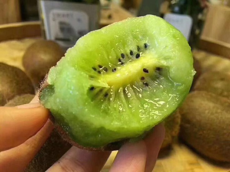 亚特猕猴桃大果招代理