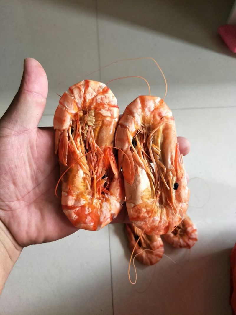 九节虾烤干烤干大量批发