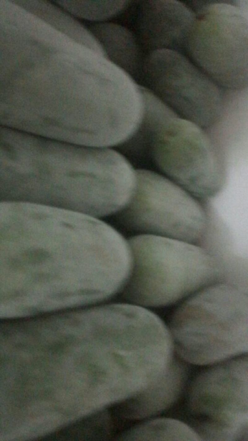 小冬瓜