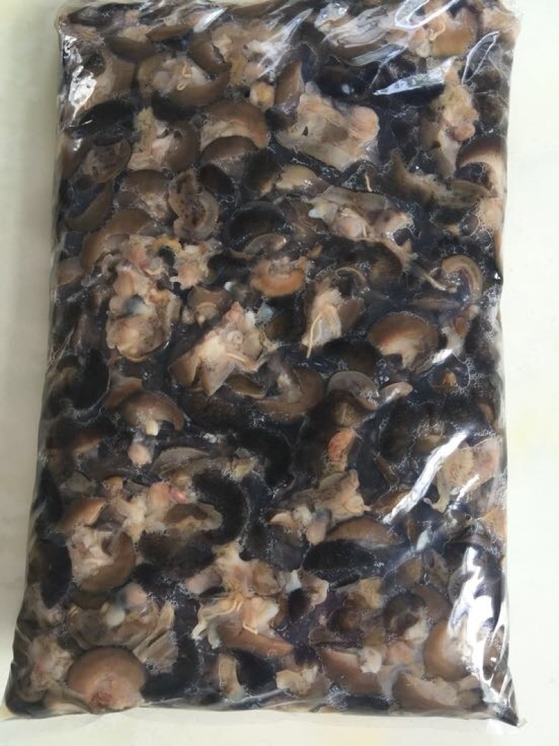 褐云玛瑙蜗牛脆口蜗牛肉