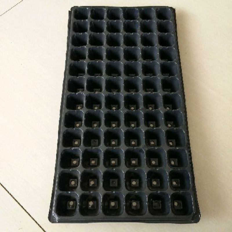 育苗盘