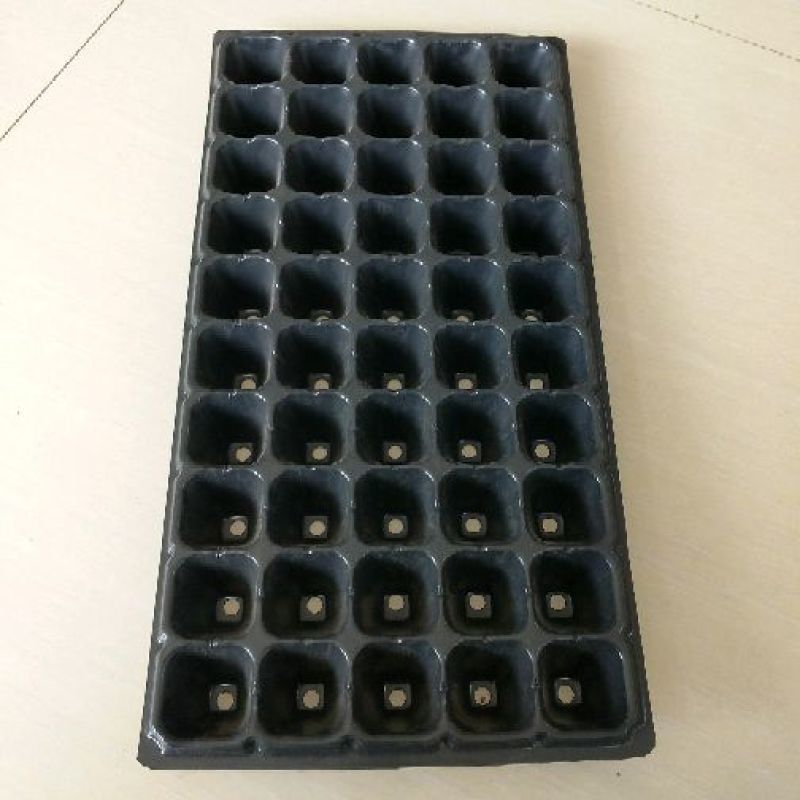 育苗盘