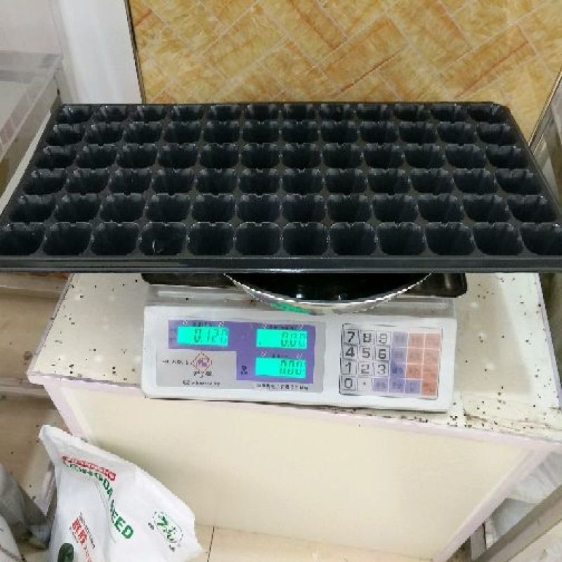 育苗盘