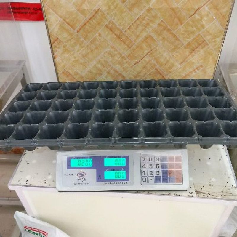 育苗盘