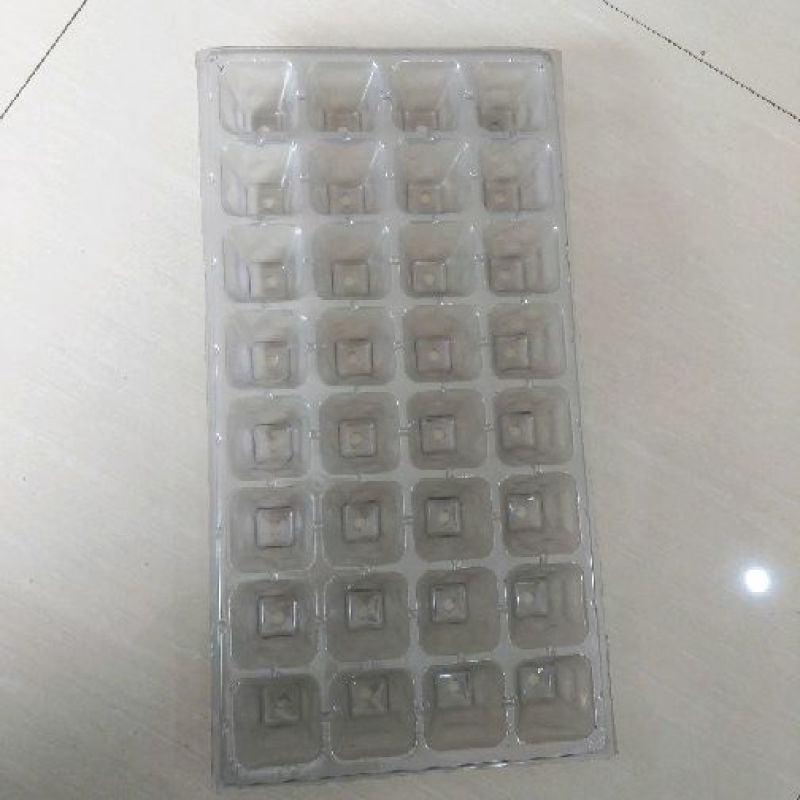 育苗盘