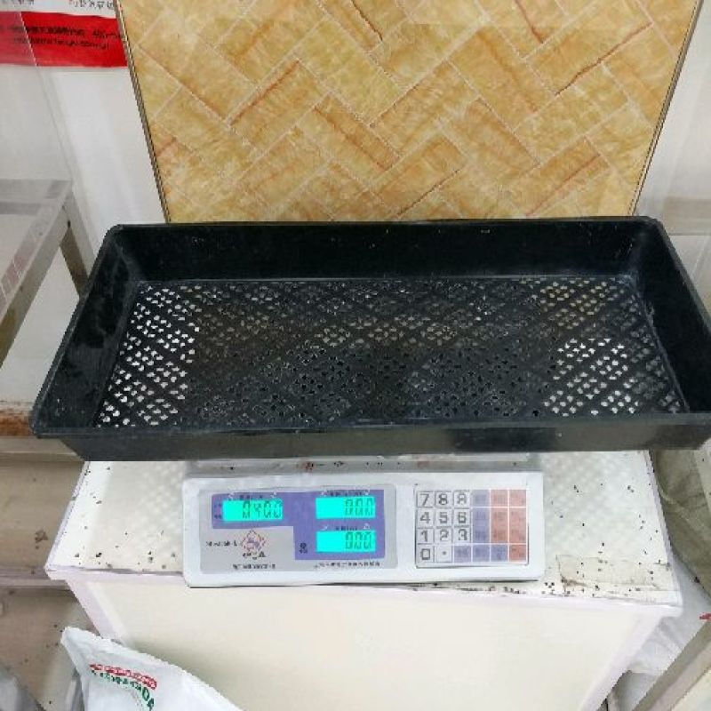 育苗盘