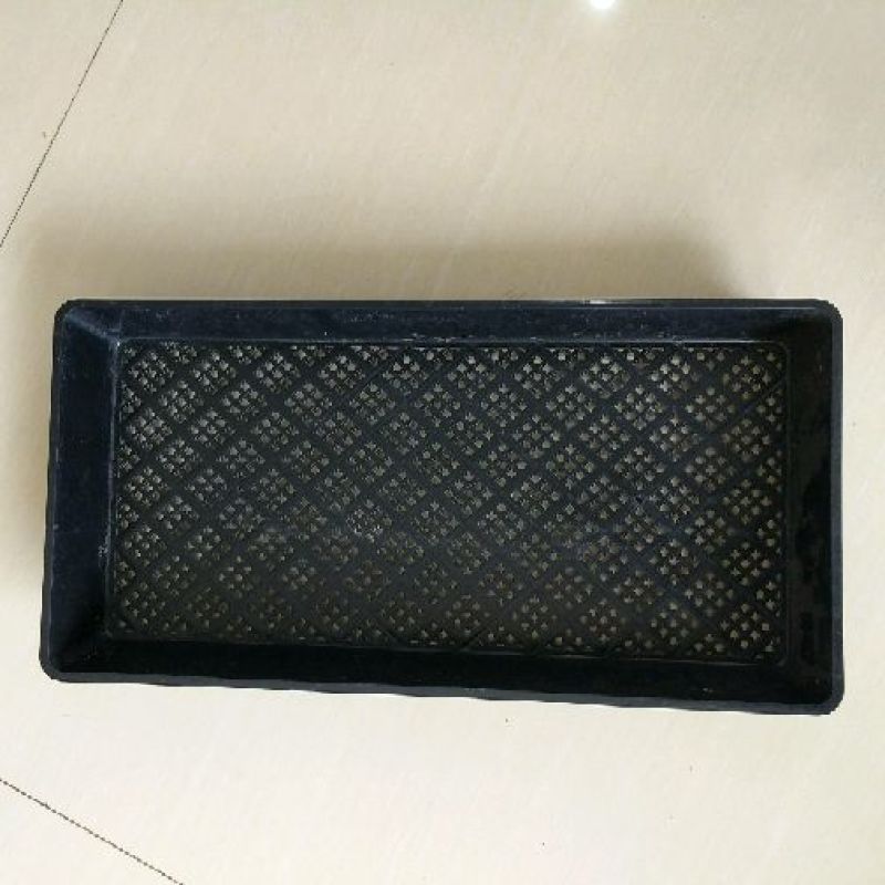 育苗盘