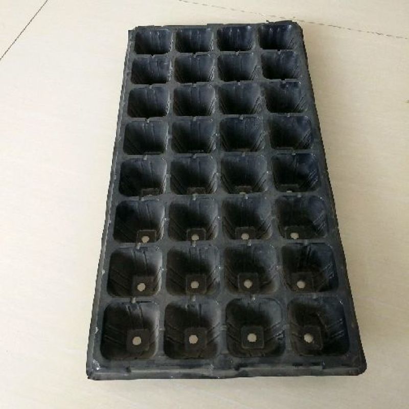 育苗盘