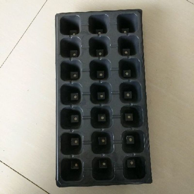 育苗盘