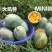 攀枝花非云南华坪凯特大芒果产地直发支持一件代发