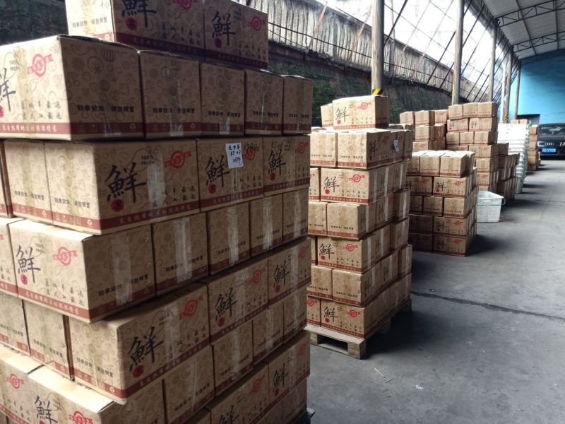 攀枝花非云南华坪凯特大芒果产地直发支持一件代发