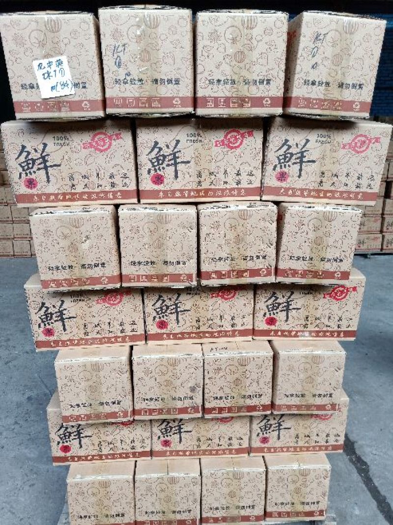 攀枝花非云南华坪凯特大芒果产地直发支持一件代发