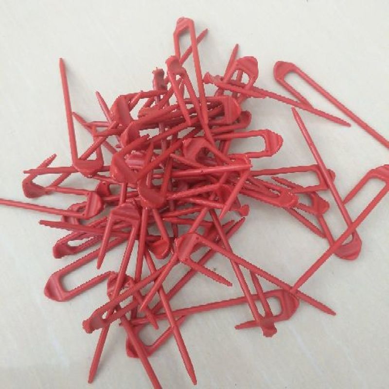 西瓜