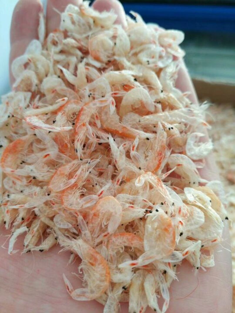 特级优质仔虾皮