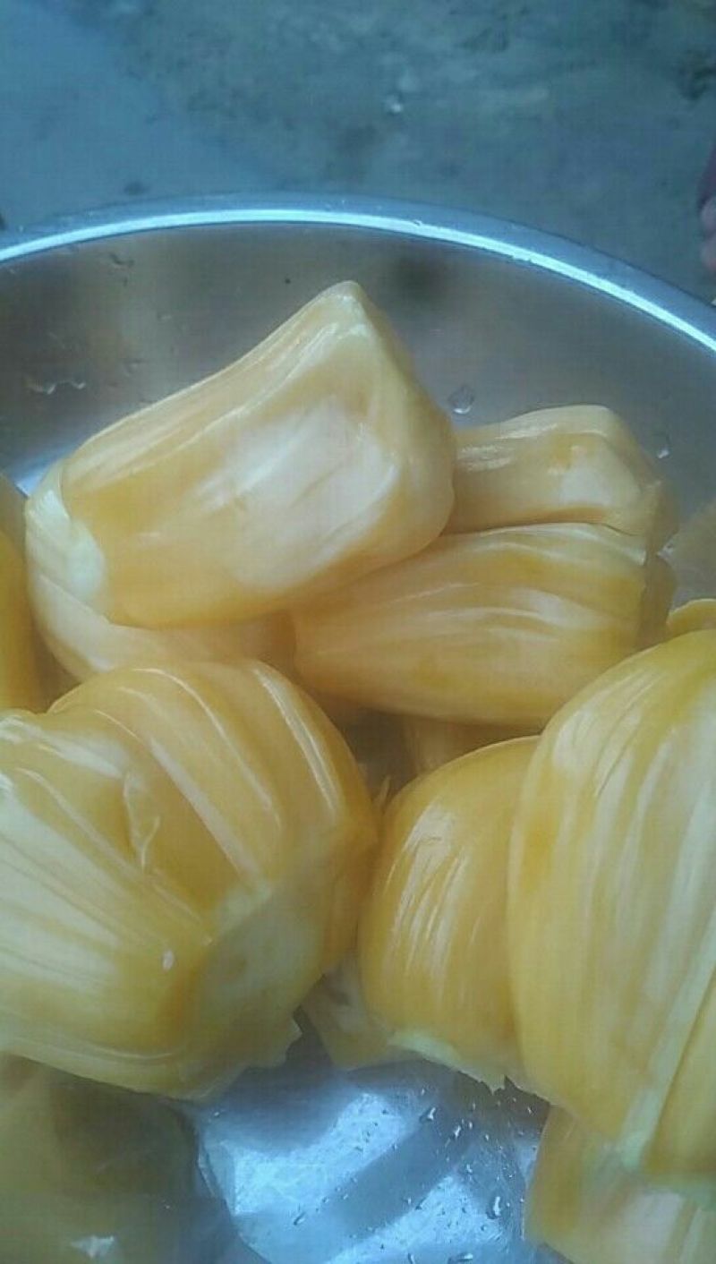 菠萝蜜金黄色包