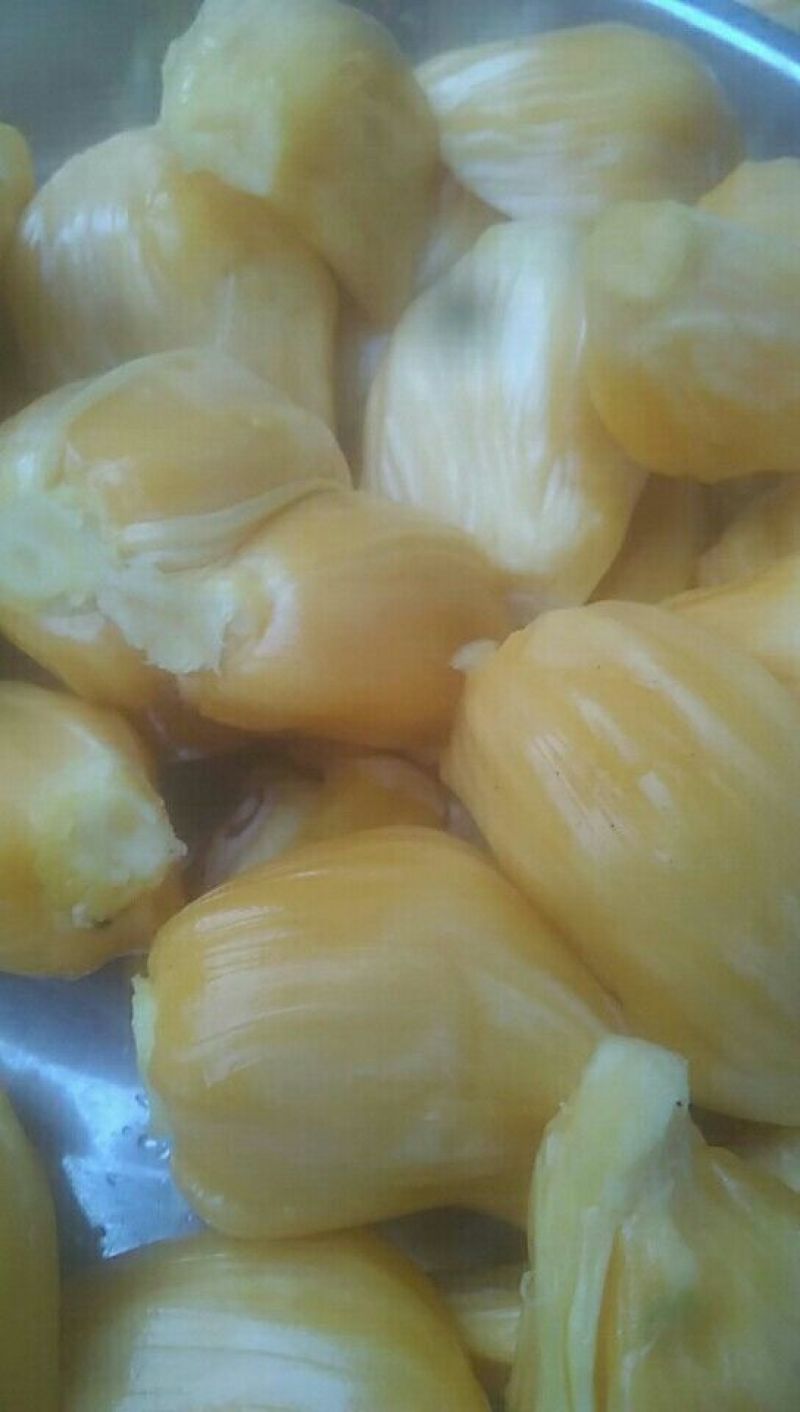 菠萝蜜金黄色包