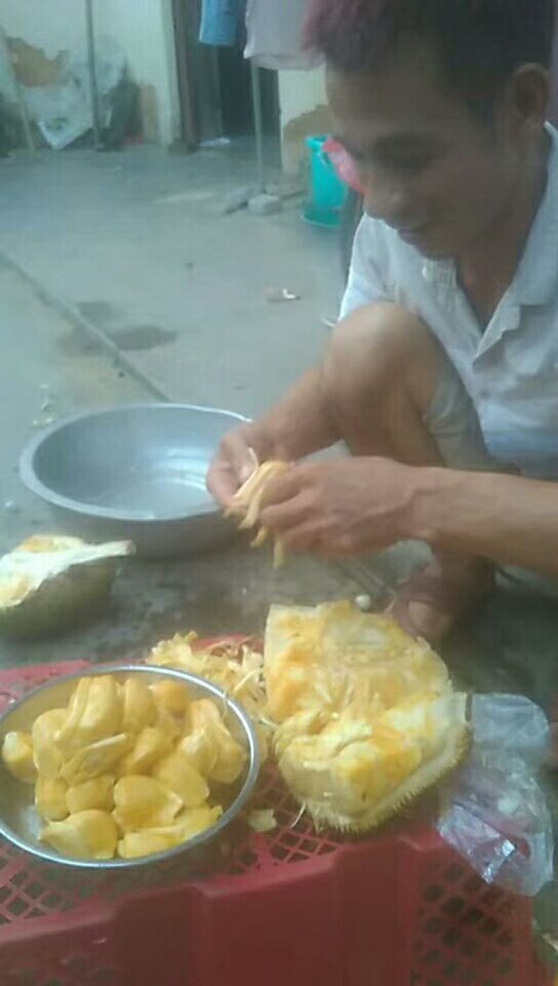 菠萝蜜金黄色包